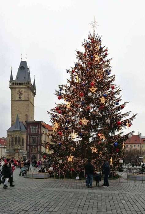 Czech Christmas Folk Traditions - Cook Like Czechs Winter Cooking, Christmas Eve Dinner, Saints Days, College Decor, Christmas Inspo, The Czech Republic, Days Of The Year, Other Countries, Winter Solstice