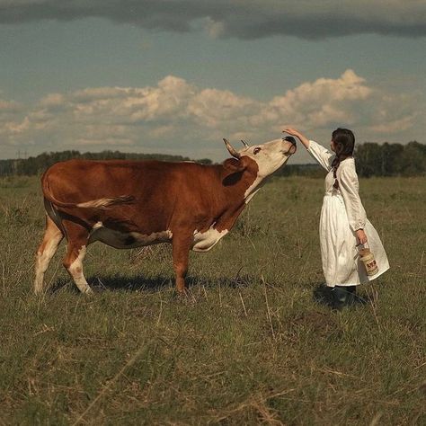 REGENERATIVE TALLOW® 🌾 on Instagram: “Summer Solace Tallow Brings New Life to Ancient Traditions with Local, Tallow-Based Skincare. 🌾 Northern California- Summer Solace Tallow,…” Prairie Aesthetic, Foto Cowgirl, Serial Experiments Lain, Farm Lifestyle, White Cow, A Cow, Nature Aesthetic, Country Life, Farm Life