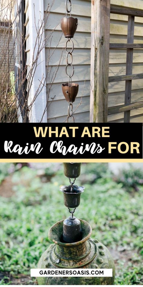 What Is A Rain Chain? And How Does It Work? | Gardening How To Make A Rain Chain, Rain Chain Installation, Rain Chain Diy, Rain Chain Garden, Copper Rain Chains, Perennial Ground Cover, Rain Chains, House To Home, Perennial Shrubs