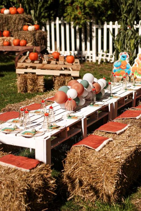 Take a look at this fun Fall pumpkin themed Sesame Street birthday party. The table settings are fantastic! See more party ideas and share yours at CatchMyParty.com Pumpkin Patch Birthday Party, Sesame Street Birthday Party Ideas, Pumpkin Patch Birthday, Pumpkin Patch Party, Fall Pumpkin Patch, Pumpkin Birthday Parties, Fall Harvest Party, 2nd Birthday Party For Boys, Fortnite Party