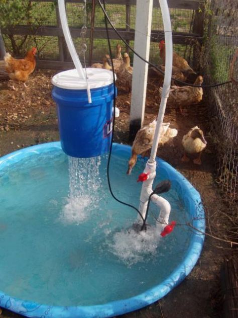 Duck Pond Filter, Diy Duck Pond, Duck Waterer, Duck Enclosure, Duck Pens, Backyard Ducks, Backyard Animals, Chicken Coop Garden, Duck Coop