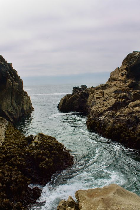 College Romance, Rocky Beach, Ocean Wedding, Ocean Rocks, Rocky Shore, Beach Landscape, Cloudy Day, Rock Formations, Beach Aesthetic