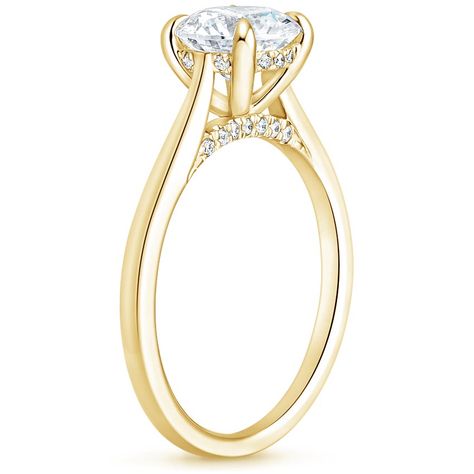 Diamond Bridge Solitaire Engagement Ring | Dawn | Brilliant Earth Ring Side View, Gold Band Engagement Rings, Most Beautiful Engagement Rings, Backyard Reception, Unique Engagement Ring Settings, Oval Engagement Ring, Stone Wedding, Fancy Rings, Rose Gold Diamond Ring