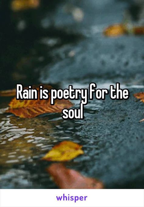 Even this awful year, 2020, is speeding by. 3 months from today will be Christmas Eve. Wow!! Didn't go to bed until 2 AM. Think I was waiting up on the rain and it did not disappoint. And this morning, I slept in for the first time in a long time--drifting in and out and hearing the rain. Did get out and go to the grocery store this afternoon. Then home to make chili and cheese toast for supper. Just seemed the perfect day for it. Still raining but to taper off. Love Rain Quotes, Rain Poetry, Rainy Day Quotes, Rainy Mood, Rain And Thunderstorms, Rain Quotes, Morning Rain, I Love Rain, Rain And Thunder