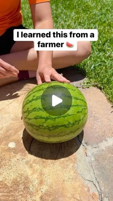 Liz & Jeff on Instagram: "How to pick a good watermelon 🍉 #watermelon #farmer #farmlife #fruits #fruitlover #summervibes" Berry Deserts, Good Watermelon, Berry Desert, Baked Apple Crisp, Pvc Christmas Tree, Perfect Watermelon, Fruits Summer, Fruit Dips, Hairstyle 2024