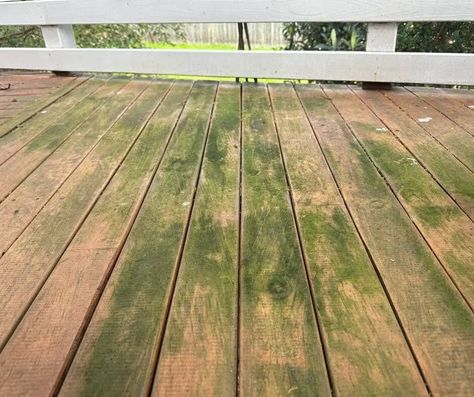 Expert Secrets… Remove Mold and Get Green Algae off Your Deck Cedar Columns, Porch Oasis, Green Deck, How To Remove Mold, Deck Cleaner, Deck Maintenance, Remove Mold, Deck Cleaning, Deck Remodel