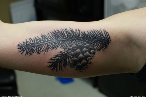 pine, branch, and pinecone..its perfect Pine Branch Tattoo, Pine Tree Tattoos, Pine Cone Tattoo, Pinecone Tattoo, Tattoo Breast, Cone Tattoo, Traditional Tattoo Outline, Pine Tattoo, Needle Tattoo