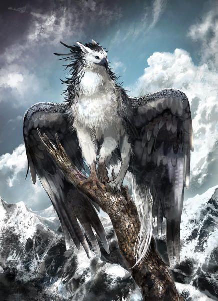 null   #amreading #books #wattpad Animal Poses, Mystical Animals, Fantasy Animals, Fantasy Stuff, Mythical Animal, Fantasy Beasts, 다크 판타지, Creature Drawings, Fantasy Monster