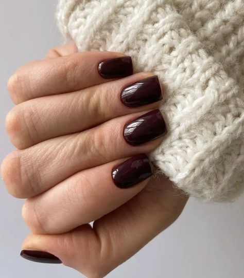 Dark Nail Colors Winter, Winter Nail Colors 2023, Thanksgiving Nail Colors, November Nail Colors, Nail Color Palette, Maroon Nail Polish, November Nails Colors, Nail Colors 2023, Vibrant Nail Colors