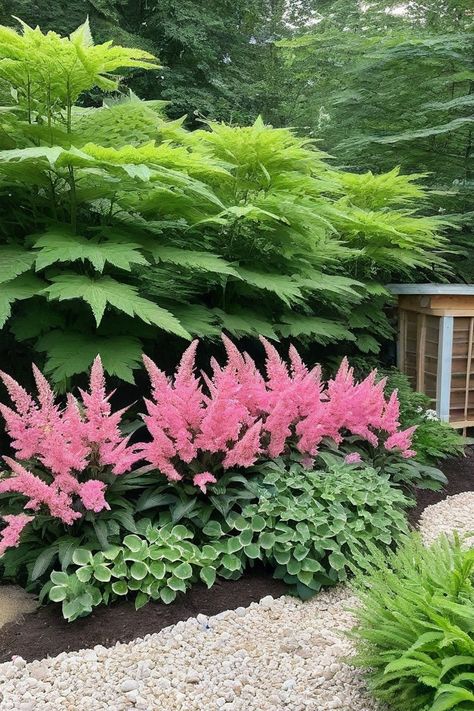 10 Best Shade Plants For Chickens Best Shade Plants, Plants For Chickens, Best Plants For Shade, Fern Images, Japanese Forest, Coral Bells, Hiding Spots, Chicken Runs, Flower Spike