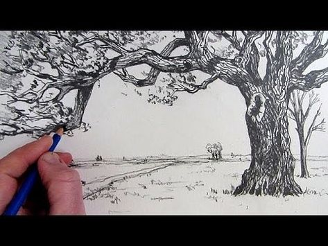 How to draw a detailed tree. Oak Tree Drawings, Draw A Tree, 3d Drawings, Tree Drawing, Art Instructions, Drawing Lessons, Realistic Drawings, Oak Tree, Teaching Art