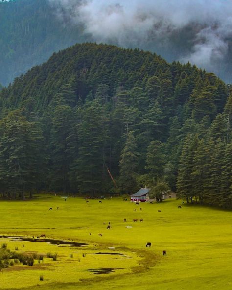 Himachali People 🇮🇳 on Instagram: “In the end it is words, poetry, sunsets, someone's deep blue silk voice, mountain scents, someone's smile, eyes,  that we have no defenses…” Dalhousie Himachal, Smile Eyes, Visit India, End It, Himachal Pradesh, Incredible India, Blue Silk, In The End, India Travel