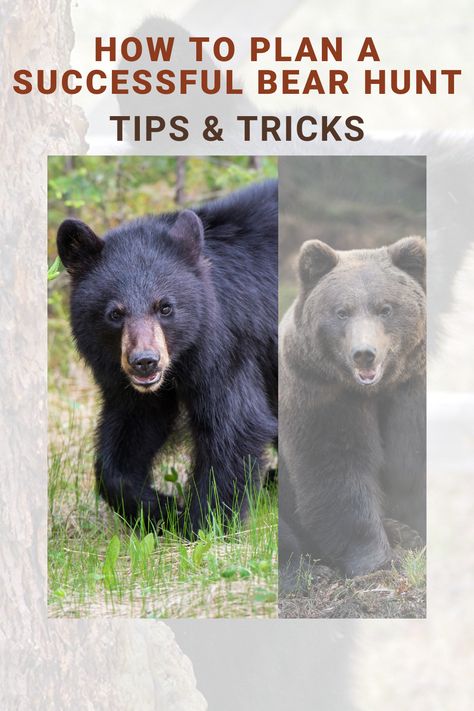 Hunting Tips For Beginners, Shed Hunting Dog Training, Elk Hunting Tips, How To Hunt Deer, Black Bear Hunting, Bow Hunting Tips, Duck Hunting Dogs, Bear Safety, Hunting Packs