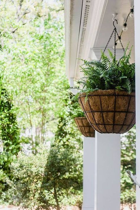 21 Front Porch Decorating Ideas with Recycled Planters - 146 Hanging Flower Baskets On Porch, Front Porch Plants, Hanging Ferns, Hanging Plants Diy, Front Porch Makeover, Porch Plants, Porch Makeover, Front Yard Design, Small Front Porches