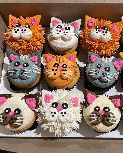 Amazing Cupcakes Designs, Kitty Cat Cupcakes Ideas, Cat Face Cupcakes, Cat Decorated Cupcakes, Cat Pull Apart Cupcake Cake, Cat And Dog Cupcakes, Kitten Cupcakes For Kids, Kitty Cupcakes For Kids, Cat Themed Desserts