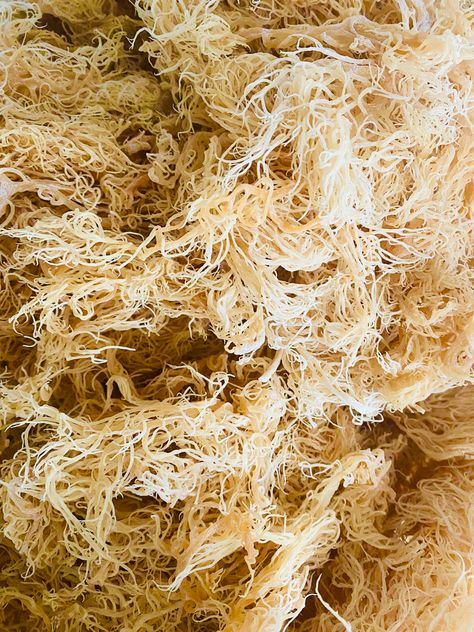 A picture of raw st Lucian seamoss Golden Irish, Seamoss Gel, Irish Sea Moss, Irish Sea, Sea Moss, Plant Based, Vision Board, Unique Items Products, Collage