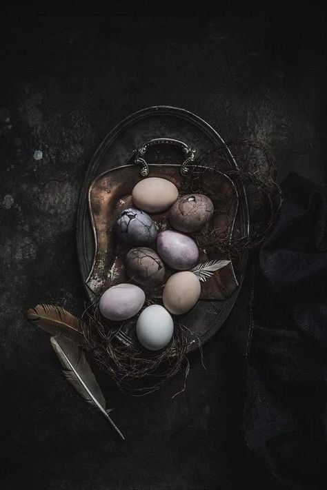 Ingredients Photography, Creepy Dark, Moody Food Photography, Shop In Paris, Entertaining Food, Easter Sweets, Styling Photography, Moody Photography, Beautiful Chocolate