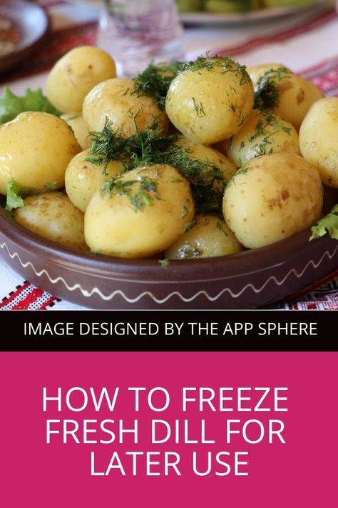 How To Use Up Fresh Dill, Recipes That Use Fresh Dill, Freezing Fresh Dill, Can You Freeze Fresh Dill, Cooking With Fresh Dill, Can You Freeze Dill, Preserving Fresh Dill, How To Preserve Fresh Dill, What To Do With Dill Fresh Herbs