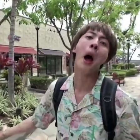 Seokjin Funny, Jin Photo, Bts Army Logo, Wwh Jin, Bts Meme Faces, Actors Funny, Silly Photos, Jungkook Funny, World Wide Handsome