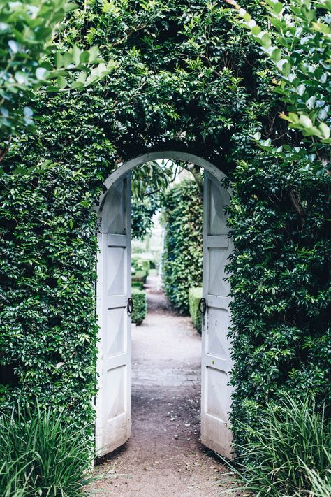 A gate and hedge wall creates a secret garden-like feel at Merribee. Outdoor Secret Garden, Secret Garden Gate Ideas, Modern Secret Garden, Secret Garden Entrance Ideas, Gate In Hedge, Creating A Secret Garden, English Garden Gate, Entrance Garden Ideas, Secret Garden Entrance