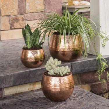 Caribbean Decor, Copper Plant, Copper Planters, Copper Decor, Bridal Shower Inspiration, Blossom Garden, Copper Pots, Outdoor Patio Decor, Patio Umbrellas