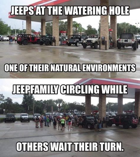 Jeep Meme, Jeep Jokes, Jeep Inspiration, Jeep Humor, Jeep Quotes, Truck Memes, 1997 Jeep Wrangler, Jeep Things, Jeep Jku