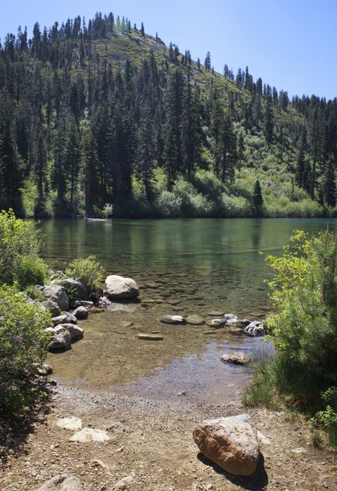 Aside from being an amazing place for fishing, camping, and hiking, Castle Lake is also a great place to spot wildlife. Trout, bears, deer, otters, frogs, and osprey are all common sights here. Hidden Castle, California Places To Visit, Hidden Lake, California Girl, Swimming Holes, Mountain Lake, Lake Life, Pine Trees, Camping And Hiking