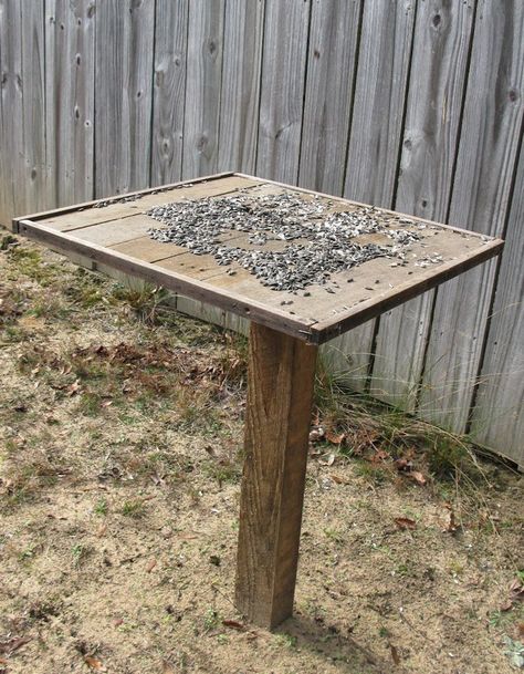 Pallet scraps, framed, onto a 4"x4" post for platform feeder. 60-minute project. #birdfeederplans #diybirdfeederplans #homemadebirdfeeder #wildbirdscoop Build A Bird Feeder, Bird Feeders Diy, Cottage Yard, Platform Bird Feeder, Bird Feeder Station, Large Bird Feeders, Cabin Garden, Backyard Birds Feeders, Backyard Birds Sanctuary