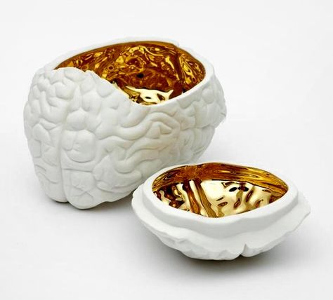 Golden metal ceramic brain Jeronimus Bosch, Counseling Room, Smartphone Gadget, Schools Around The World, Gummy Worms, Chip And Dale, Shop Till You Drop, Gold Ceramic, Gadgets And Gizmos