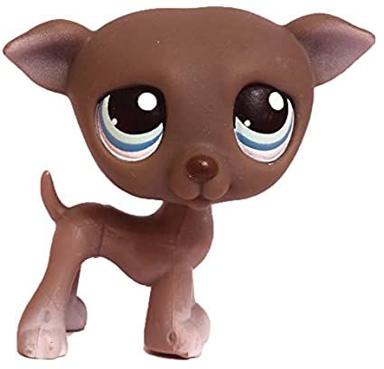 Lps Show, Lps Videos, Old Lps, Lps Dog, Lps Collection, Ipad Icons, Littlest Pet Shops, Lps Toys, Lps Pets