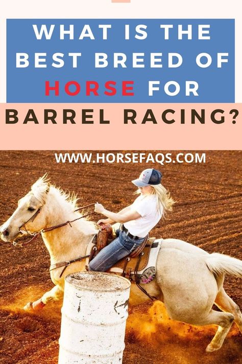 Barrel racing is an amazing sport for horses. It takes what they love and makes it a game for them. It is a beautiful thing to watch as horse and rider become one and they speed around those barrels and to the finish line to get the fastest time they can. #horses #horsefood #horsefoodthebest #Horsehealth #horseracing #horseracingphotography #horseracingtips #horseracingcruelty #horseracingkills Horse Food, Race Photography, Horse Ideas, Barrel Racing Horses, Horse And Rider, Horse Health, Barrel Racing, Horse Stuff, Horse Rider