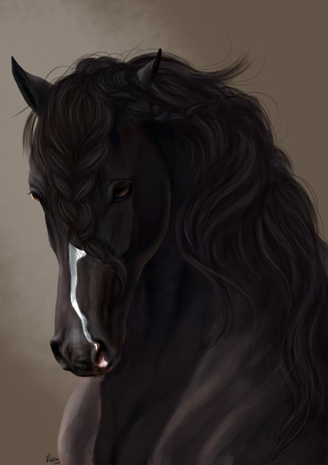 Digital Art Horse, Star Stable Art, Black Horse Art, Horse Art Ideas, Magical Horses, Fantasy Horses, Horse Artwork, Horse Wallpaper, Star Stable