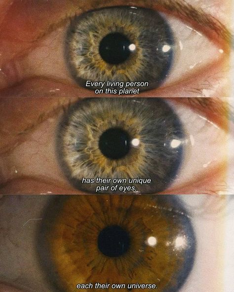 good films make life better 🇬🇪 on Instagram: “I, Origins (2014)” I Origins, Pair Of Eyes, Boys Artwork, Cinema Quotes, Movie Love Quotes, Cinema Art, I Love Cinema, Movie Lines, Film Quotes