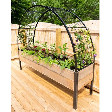 PRICES MAY VARY. PRODUCT DETAILS: Gardener's Supply Company Exclusive 2' x 8' Arch Trellis for Elevated Planter Box is an elegant statement made with durable steel to add beauty & bounty to your elevated raised garden bed. Maximize growing space in your elevated planter box, or create an arch entrance to your garden or a beautiful shady retreat! BEST USE AS: An Arch Trellis for vining vegetables and flowers or as a stunning garden entrance. Works great with any climbing plant, including roses, c Arbor Trellis, Elevated Planter, Elevated Planter Box, Outdoor Gardens Landscaping, Plants Vegetables, Arbors Trellis, Arch Trellis, Trellis Ideas, Garden Arbor