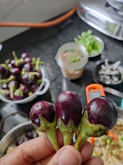 Small Brinjals / eggplant / રવૈયા ના રીંગણ 🍆🍆 Eggplant, Indian Food Recipes, Sugar Free, Yummy Food, Drinks