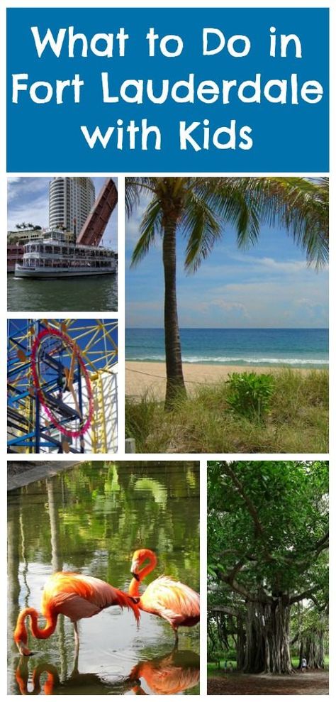 Fort Lauderdale Things To Do, Florida With Kids, Seafood Festival, Cedar Key, Kids Things To Do, Things To Do With Kids, Nascar Race, Fort Lauderdale Florida, Family Friendly Activities