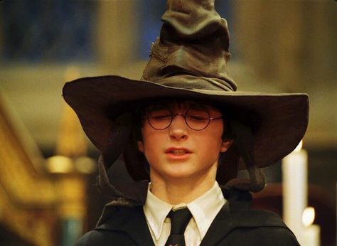 Not slytherin, not slytherin! Harry Potter Dvd, Meme Harry Potter, Harry Potter Candles, Film Harry Potter, Harry Potter Sorting Hat, Michael Gambon, Chris Columbus, Harry Potter Pin, Harry Potter 2