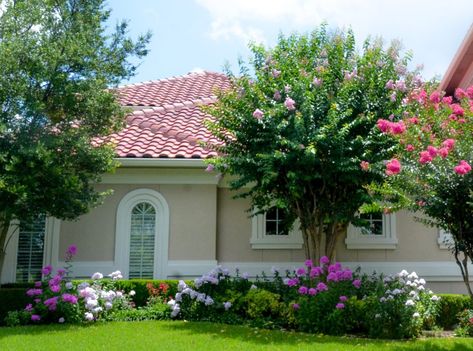 Landscaping Design with Crape Myrtles – Lee Ann Torrans Gardening Crepe Myrtle Landscaping, Pink Crepe Myrtle, Crepe Myrtle Trees, Spring Perennials, Pink Perennials, Myrtle Tree, Ferns Garden, Crepe Myrtle, Purple Spring