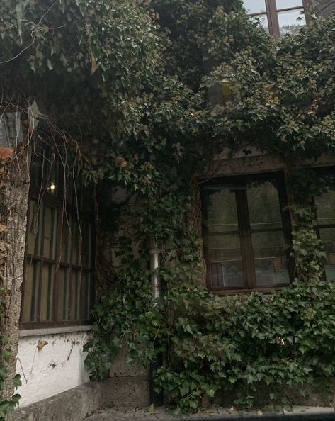 ivy Ivy House Aesthetic, House Covered In Ivy, Starling House, Ivy Aesthetic, Evermore Aesthetic, Climbing Ivy, Opal Eyes, Ivy Wall, Ivy Vine