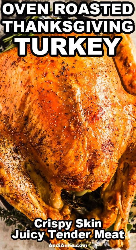 Slow Roast Turkey In Oven, Reynolds Oven Bag Turkey Recipes, Cooking A Brined Turkey In Oven, Oven Turkey Recipes Thanksgiving, How To Slow Roast A Turkey Overnight, Baking Turkey Bacon In The Oven, Turkey Baking Times Ovens, Using A Roasting Bag For Turkey, Turkey Oven Bag Recipe