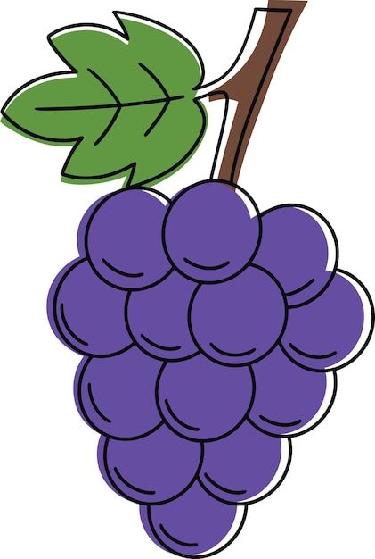 Grape Cartoon, Grapes Drawing, Grapes Illustration, Grape Drawing, Fruits Drawing, Preschool Art Activities, Preschool Art, Cartoon Style, Art Activities