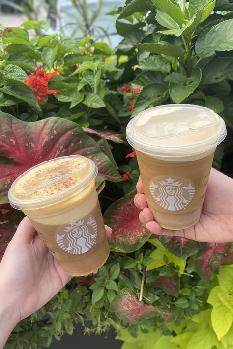 The Best Starbucks Nitro Cold Brew With Sweet Cream Flavors Nitro Cold Brew Starbucks, Starbucks Nitro Cold Brew, Cold Brew Recipes, Starbucks Locations, Cold Brew Recipe, Cold Brew At Home, Iced Starbucks Drinks, Nitro Coffee, Nitro Cold Brew