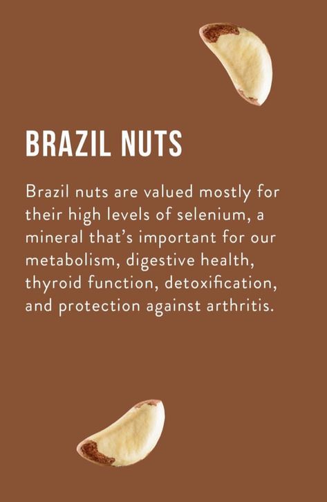 Brazilian Nuts Benefits, Benefits Of Brazilian Nut, Brazil Nuts Benefits For Women, Brazil Nuts Benefits, Nuts Health Benefits, Brazilian Nuts, Nut Benefits, Brazil Nut, Food Health Benefits