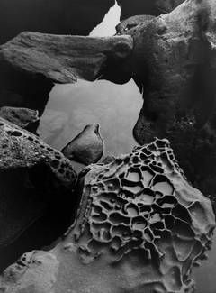 Tidal Pool, Point Lobos, 1977 Beach Rocks Photography, Brett Weston, Tidal Pool, Tide Pool, Rock Photography, Edward Weston, San Francisco Museums, Photography Basics, Philadelphia Museum Of Art