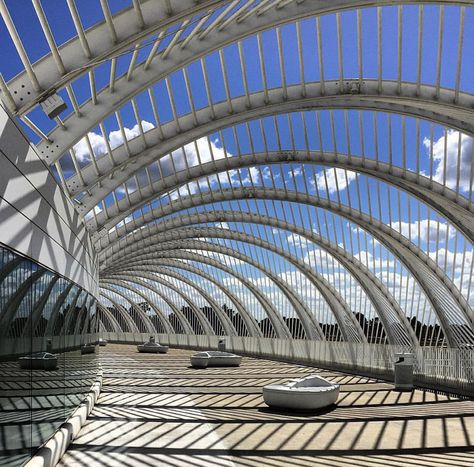 Florida Polytechnic University | Santiago Calatrava Polytechnic University, Santiago Calatrava, Hypnotherapy, Light Architecture, Sydney Harbour Bridge, University, Florida, Gym, Architecture