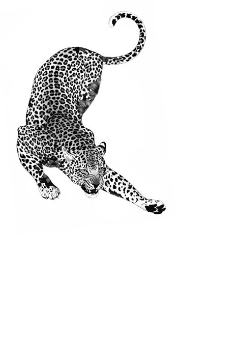 190+ Coolest Jaguar Tattoo Ideas (2023) - TattoosBoyGirl Two Leopards Tattoo, Cheetah Tattoo Thigh, Cheetah Stretching Tattoo, Jaguar Tattoo Simple, 901 Tattoo, Colored Tiger Tattoo, Cheetah Back Tattoo, Jaguar Outline, Leopard Back Tattoo