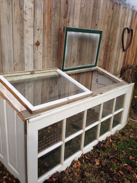 Upcycled Greenhouse, Greenhouse From Old Windows, Simple Greenhouse, Window Greenhouse, Diy Greenhouse Plans, Greenhouse Shed, Backyard Greenhouse, Greenhouse Plans, Diy Greenhouse