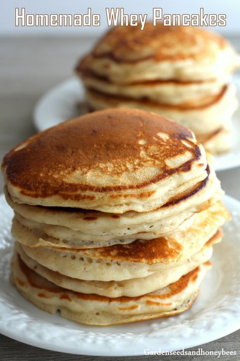 Homemade Whey Pancakes - Garden Seeds and Honey Bees Recipes Using Whey From Cheese, Using Whey From Yogurt, Whey Pancakes Recipes, Whey Bread Recipe, Whey Recipes Leftover, Yogurt Whey Recipes, Whey Pancakes, Whey Bread, Breakfast Ideaa