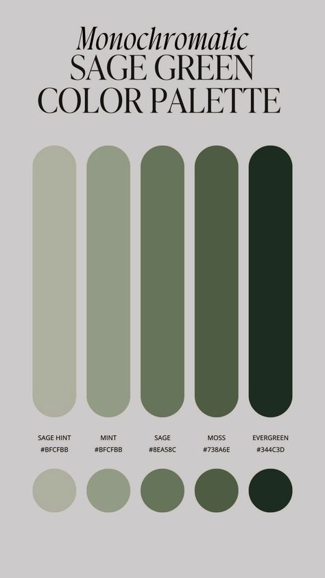 Sage Green Color Palette Color Combinations With Green, Sage Green And Dark Blue, Color Palette Sage Green, Green Types, Analogous Color Palette, Sage Green Color Palette, Sage Green And Grey, Sage Green Bedroom Ideas, Green Contrast Color