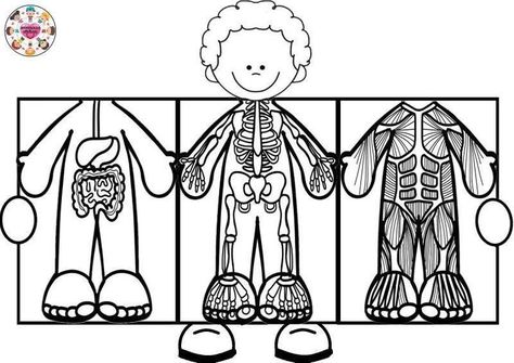 Body Preschool, Human Body Activities, Body Parts Preschool, Welcome To School, Preschool Activities Toddler, Science Activities For Kids, Hand Crafts For Kids, Art Drawings For Kids, Preschool Art